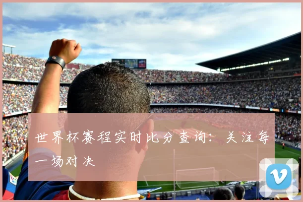 世界杯赛程实时比分查询：关注每一场对决